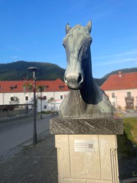 MOST-KOČIJA S KONJI_1